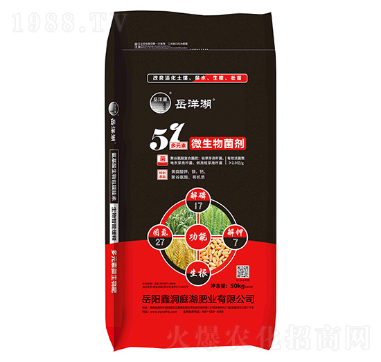 ��Ԫ��΢�������-�����-�ζ�ͥ���ʘI(y��)