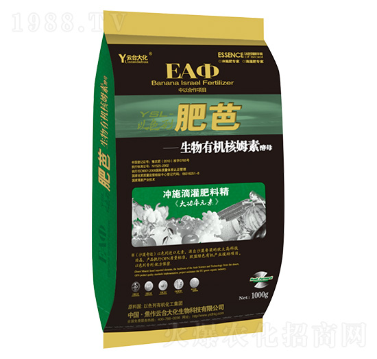 �ʰ�-���_(t��i)��