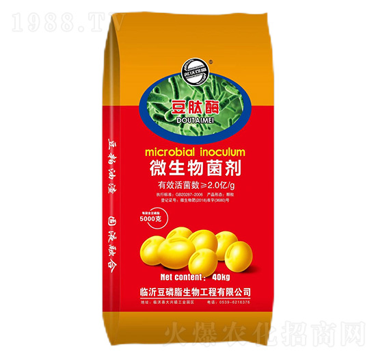 ����ø΢�������-��������