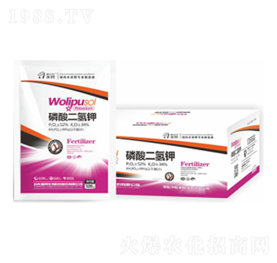 ��������-嫰�����