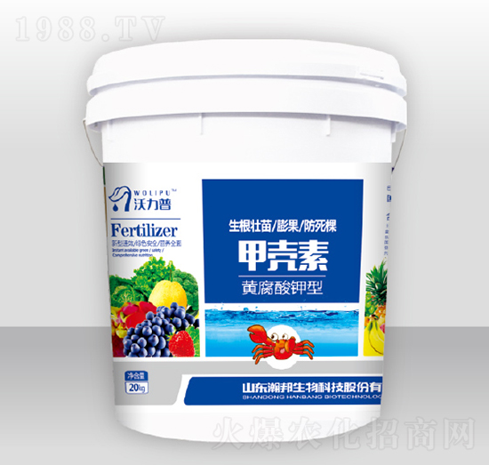 �ך���-嫰�����