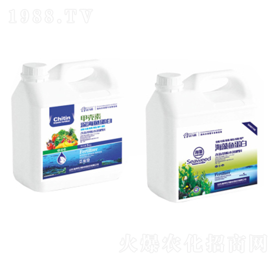 �ך�����~(y��)����-嫰�����