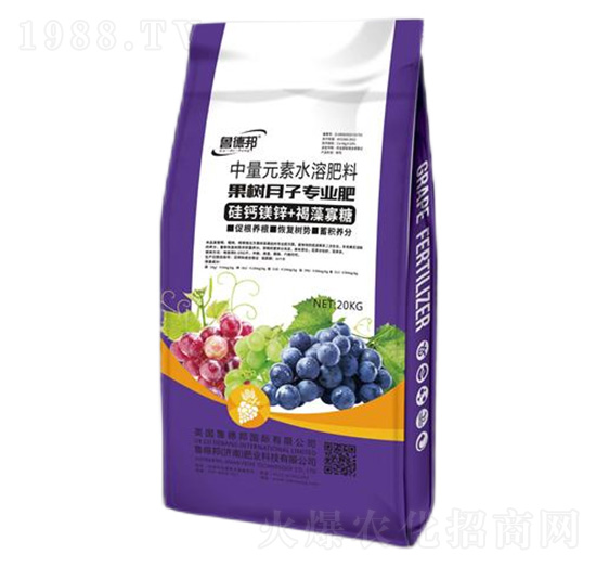 ����(sh��)���ӌ�(zhu��n)������Ԫ��ˮ�ܷ���-��?sh��)°? style=