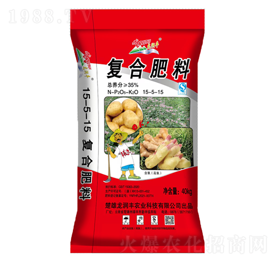 ���������ʏ�(f��)�Ϸ���15-5-15-����(r��n)�S