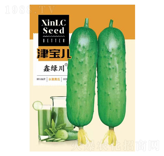 黃瓜種子-津?qū)殐?邯豐農(nóng)業(yè)