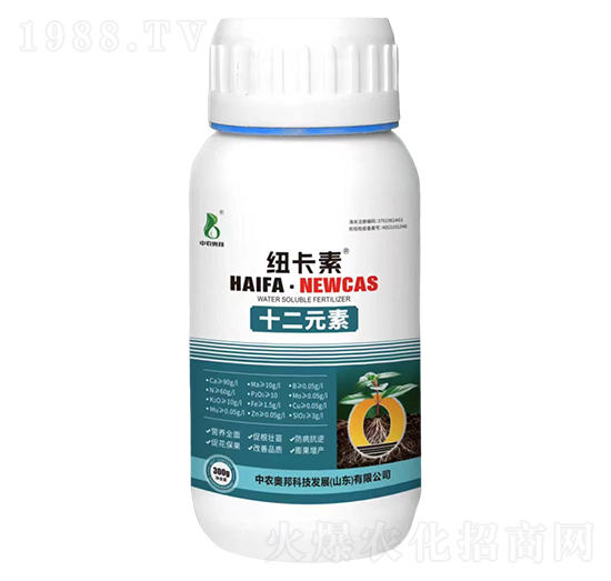 ʮ��Ԫ��-�~����-���r�W��