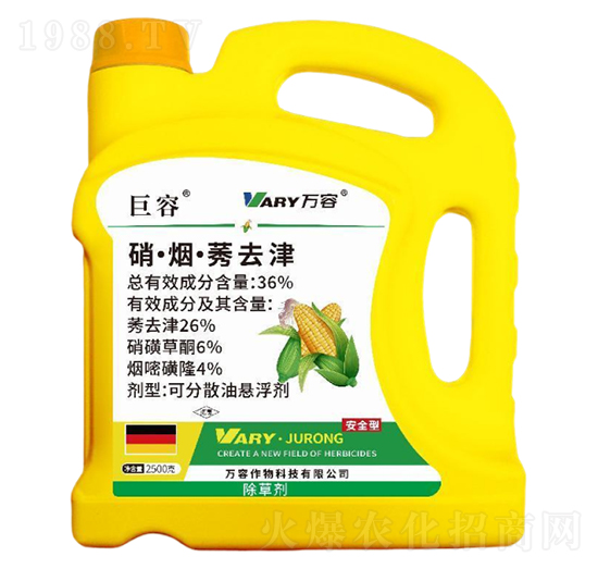 36%��������ݬȥ��2500g-����-�f��