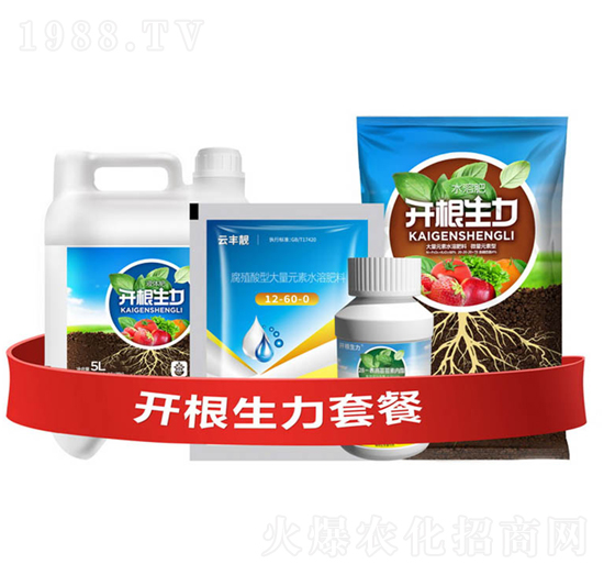 開根生力套餐E-云大科技