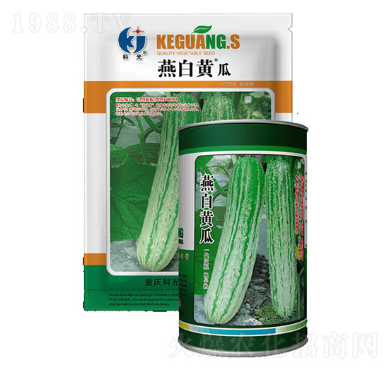 ����S��-�ƹ�N��