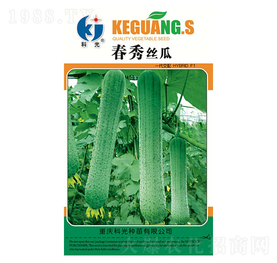 ����z��-�ƹ�N��