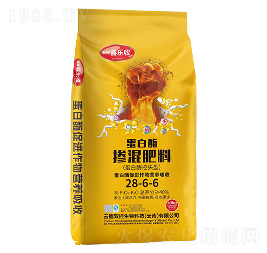 ����ø�������28-6-6-�t̫�