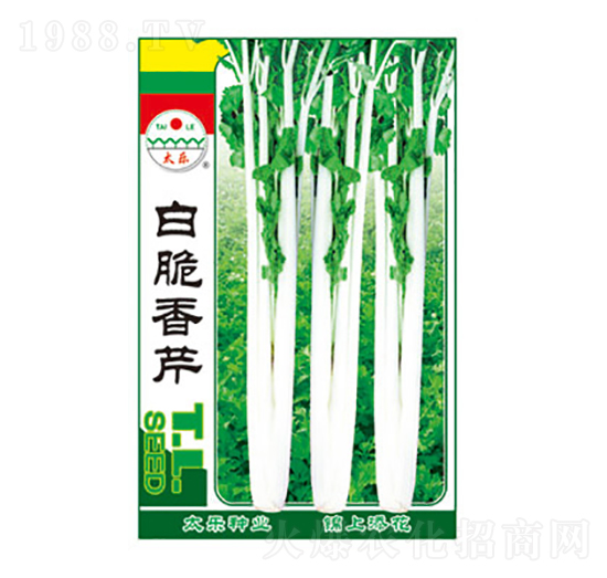 �״�����-̫��(l��)�N�I(y��)