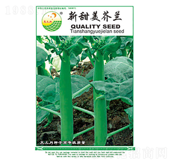 ���m�N��-���������m-̫���N�I(y��)