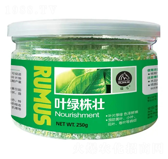 �~�G���-�̶�����