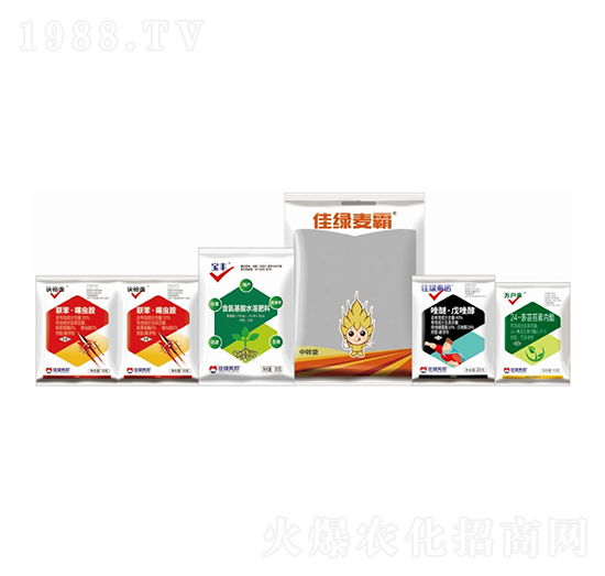 С�����x����Q����-�ѾG����-�����