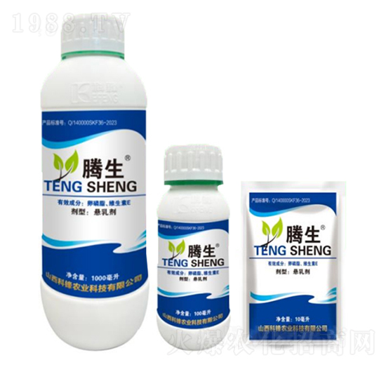 ����֬���S����E-�v��-�õ���