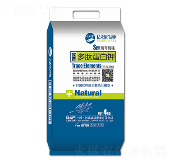 ��̦���ĵ����-�|�̿�-���Z�ʘI(y��)