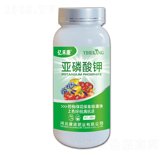 �������-�|�̿�-���Z�ʘI(y��)