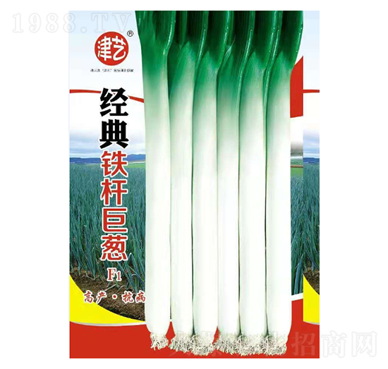 ���[�N��-��(j��ng)���F�U���[-���S�r(n��ng)�I(y��)