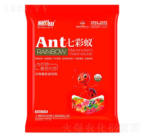 ������ɫ�T����-�߲�ρ-�������