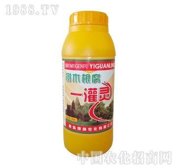 ��ɽ����-��ľ����һ���`