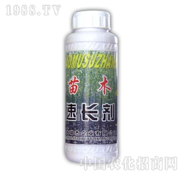 ��ɽ����-��ľ���L��