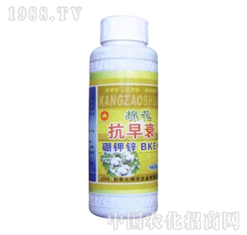 ��ɽ����-����˥����\