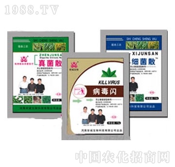 ���\(ch��ng)-�����W�����ͷۄ�