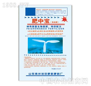 ����-���Ќ�