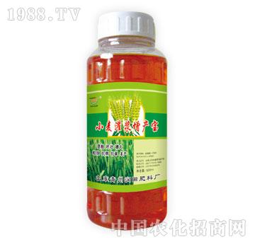 ��(r��n)��-С�����{���a(ch��n)��