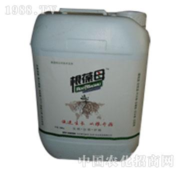 ��ؐ˹��-����ĸ