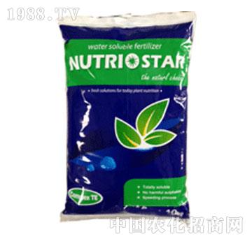 ���֐�ؐ˹��-�δ�20-20-20+TE