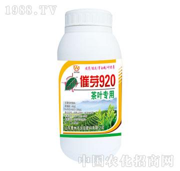 ����-��ѿ920���~����