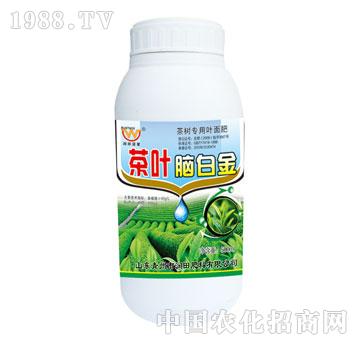 ����-���~�X�׽�