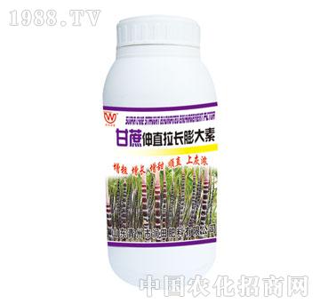 ��(r��n)��-������ֱ���L(zh��ng)�����