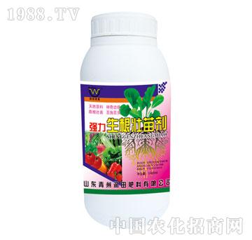 ��(r��n)��-��(qi��ng)���������焩