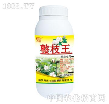 ��(r��n)��-��֦���޻�����