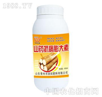 ��(r��n)��-ɽˎ���������