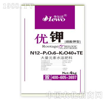 ����-��(y��u)�12-6-40