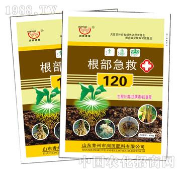 ��(r��n)��-��������120