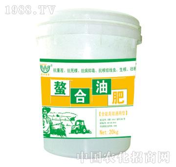 ����-�����ͷ�