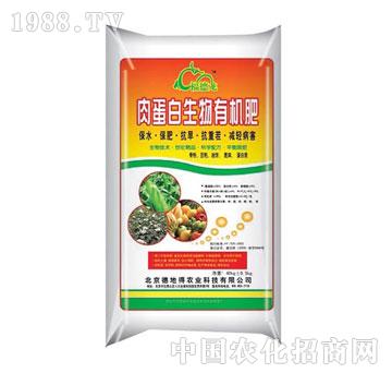 �µص�-�⵰�������ЙC��