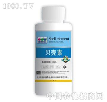 �µص�-ؐ����