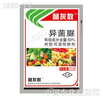 �G�S-�ѻ�ɢ-������