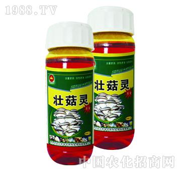 ��ɽ����-�ѹ��`