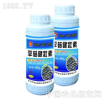 ��ɽ����-ƽ��������