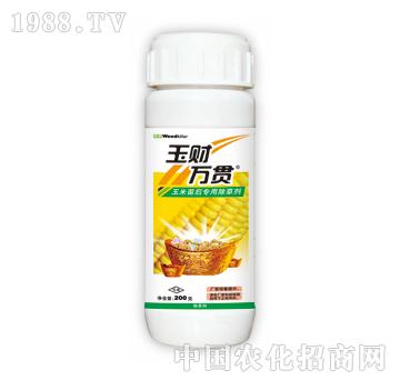 ��ؔ(c��i)�f(w��n)؞-̩�(y��ng)