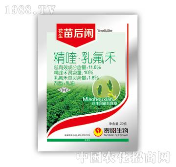 11.8%��������-����e-̩�