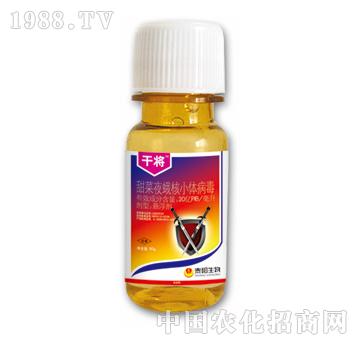 20�|PIB/�������ҹ���С�w����-�Ɍ�-̩�(y��ng)