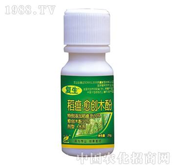 ��������(chu��ng)ľ��-��(f��)��-˼